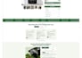 design a high converting shopify dropshipping store or website